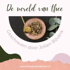 e-book theeboetiek Jolien